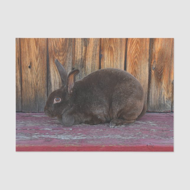 Papel De Seda Bungalow Rabbit Brown Wood Grain Easter (Anverso)
