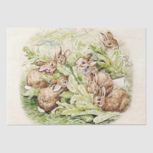 Papel De Seda Bunnies in the Lettuce Patch por Beatrix Potter