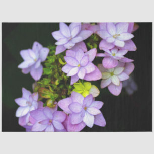 Papel De Seda Buque de muchas flores moradas de Petaled