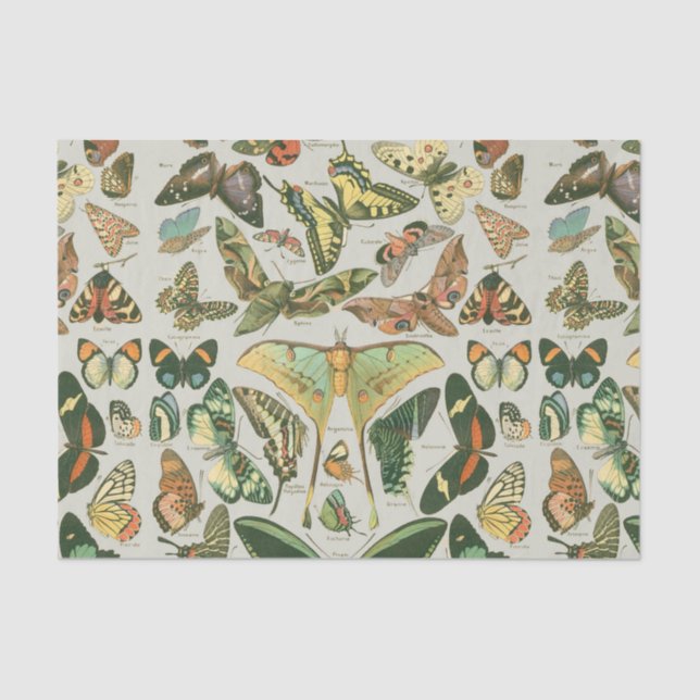 Papel De Seda Butterfly Vintage Antiguo Butterflies Art (Anverso)