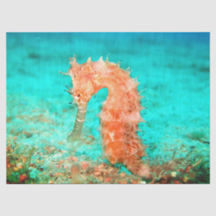 Papel De Seda Caballito de mar tropical caribeño turquesa naranj