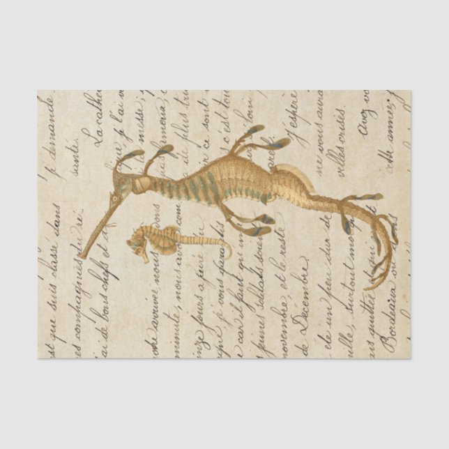 Papel De Seda Caballito de mar vintage (Anverso)