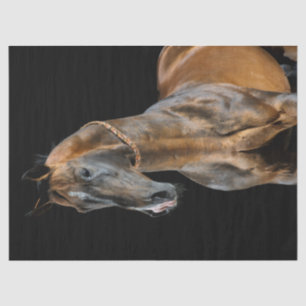 Papel De Seda Caballo Akhal-Teke