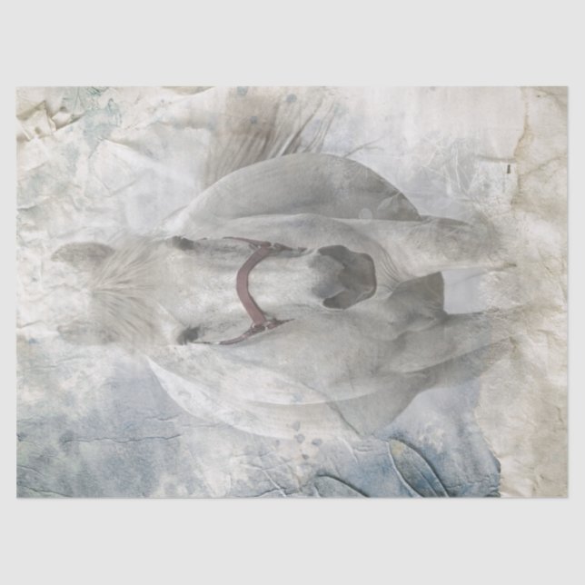 Papel De Seda Caballo blanco (Anverso)