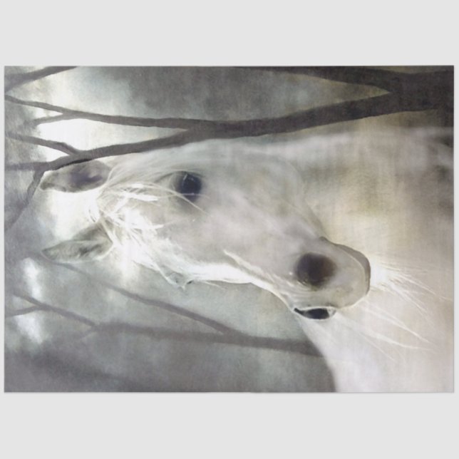 Papel De Seda Caballo blanco (Anverso)
