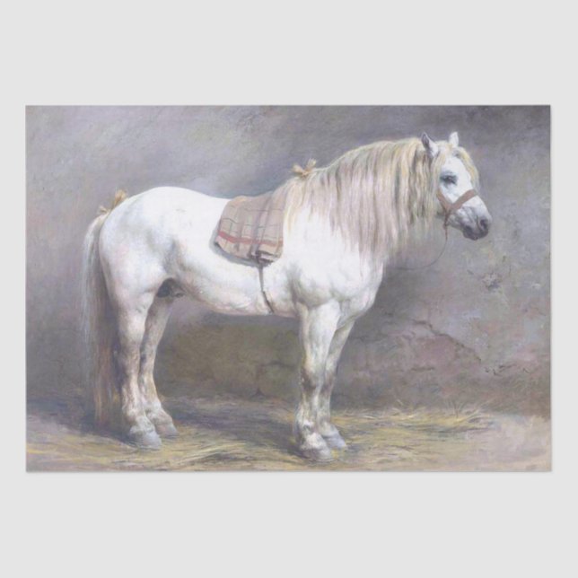 Papel De Seda Caballo blanco en un viejo desmoronamiento francés (Anverso)