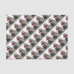Papel De Seda Caballo con Santa Hat
