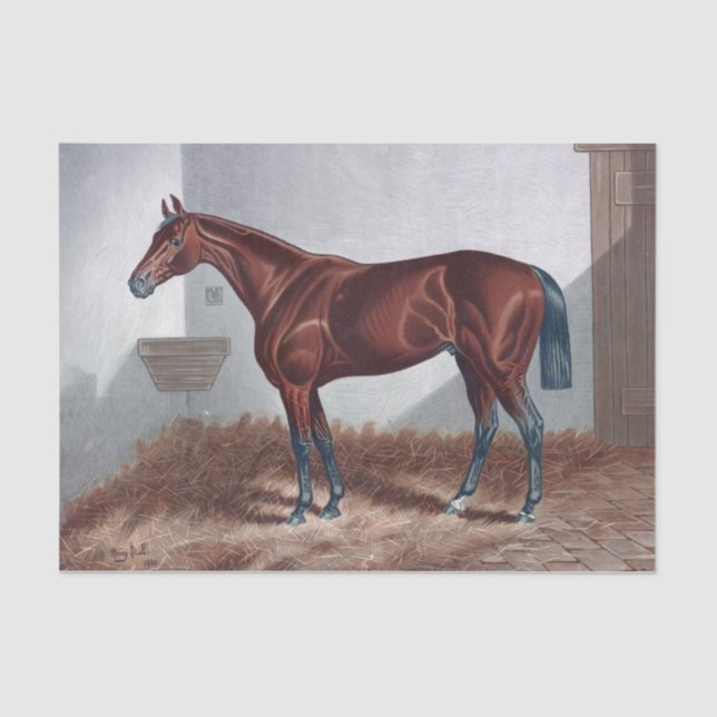 Papel De Seda Caballo de cosecha en deshielo estable (Anverso)