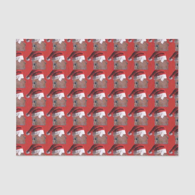 Papel De Seda Caballo de Navidades de Santa Claus (Anverso)