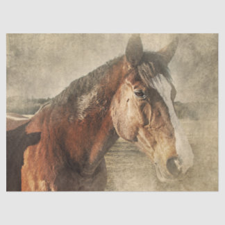 Papel De Seda Caballo en polvo