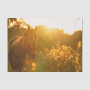 Papel De Seda Caballo increíblemente impresionante bañado en luz