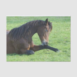 Papel De Seda Caballo marrón bonito en la hierba