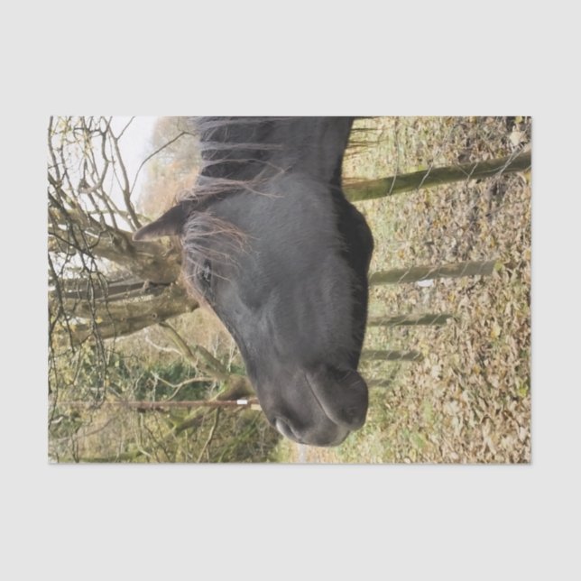 PAPEL DE SEDA CABALLO NEGRO (Anverso)