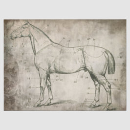 Papel De Seda Caballo numerado