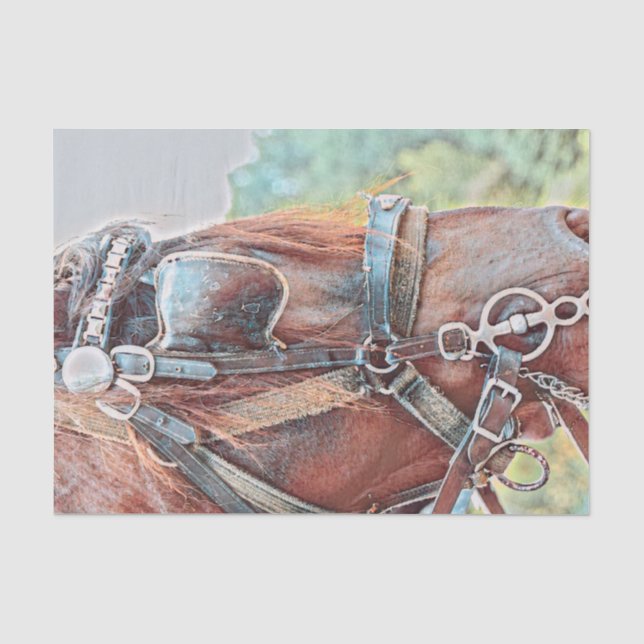 Papel De Seda Caballo occidental rústico decoupage de campo (Anverso)