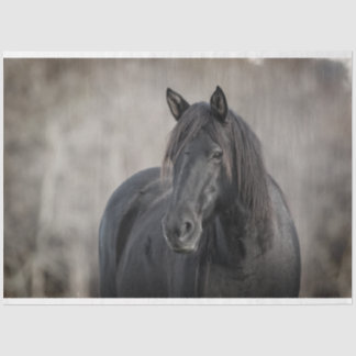 Papel De Seda Caballo oscuro