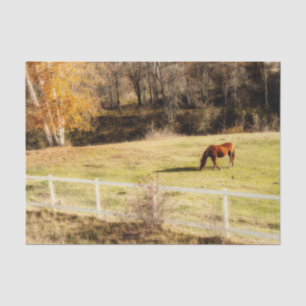 Papel De Seda Caballo País Rústico Otoño Decoupage