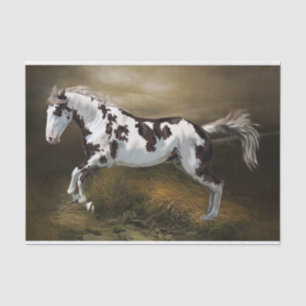 Papel De Seda Caballo Pinto Tovero de Cuadro de Salpicaduras Cas