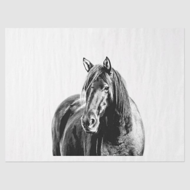 Papel De Seda Caballo salvaje de Missouri (Anverso)