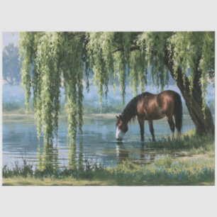 Papel De Seda Caballo Sauce Pond Paisaje