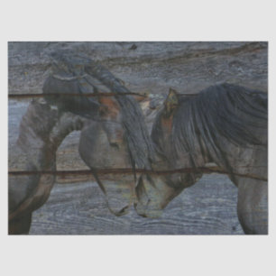 Papel De Seda Caballos