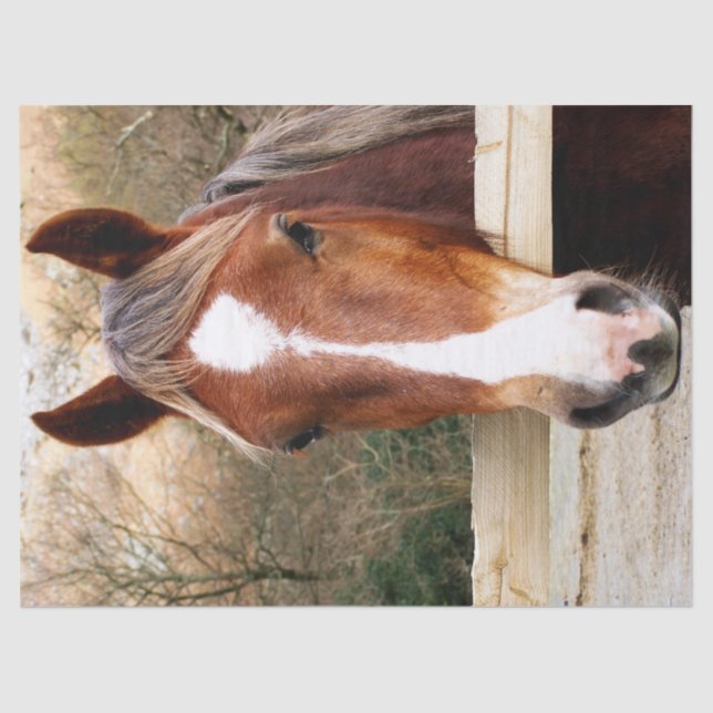 PAPEL DE SEDA CABALLOS (Anverso)