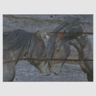 Papel De Seda Caballos