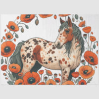 Caballos Appy Appy Appy Appaloosa
