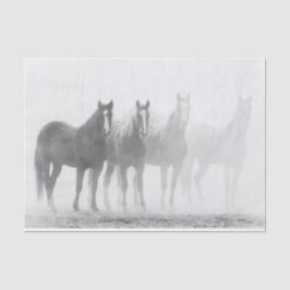 Papel De Seda Caballos blancos y negros fuera