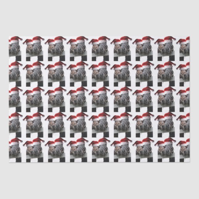 Papel De Seda caballos de besos Santa Claus (Anverso)