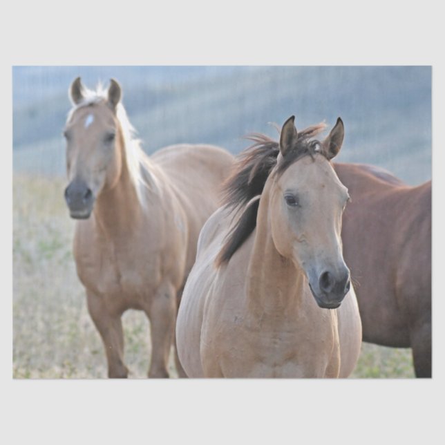 Papel De Seda Caballos de colores (Anverso)