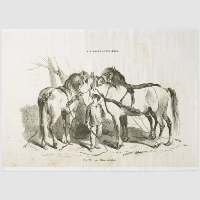 Papel De Seda Caballos Ephemera Desahuciar Tejido Francés Pa (Anverso)