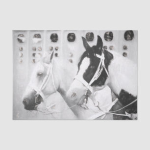 Papel De Seda Caballos País Rústico Negro Y Blanco Occidental
