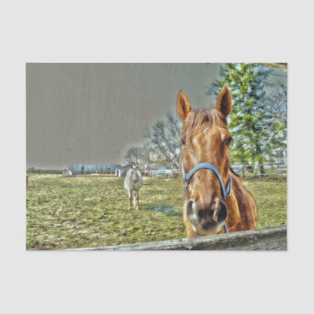 Papel De Seda Caballos Rústico País Occidental Granja Decoupage (Anverso)