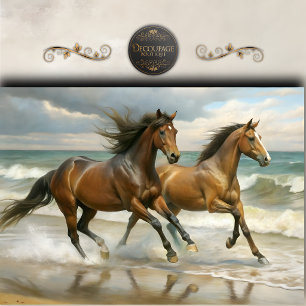 Papel De Seda Caballos Salvajes de Playa Pintura Decoupage