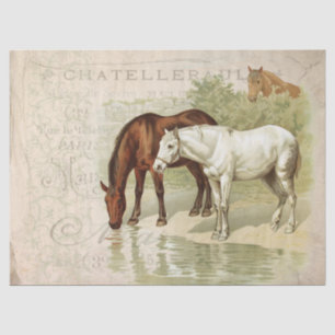 Papel De Seda Caballos Vintage Francés Postmark Parchup Decoupag