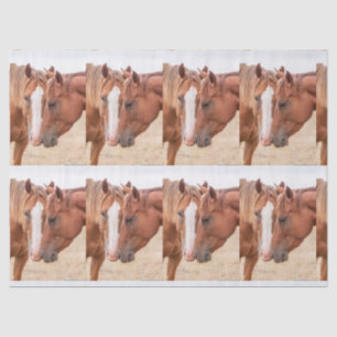 Papel De Seda Caballos zumbando en un pasto