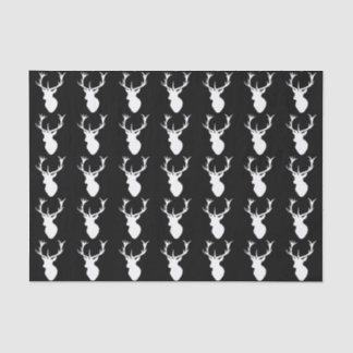 Papel De Seda Cabeza blanca del macho