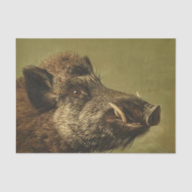 Papel De Seda Cabeza de Boar (Anverso)