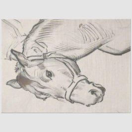 Papel De Seda Cabeza de caballo (por Alfred Dehodencq)