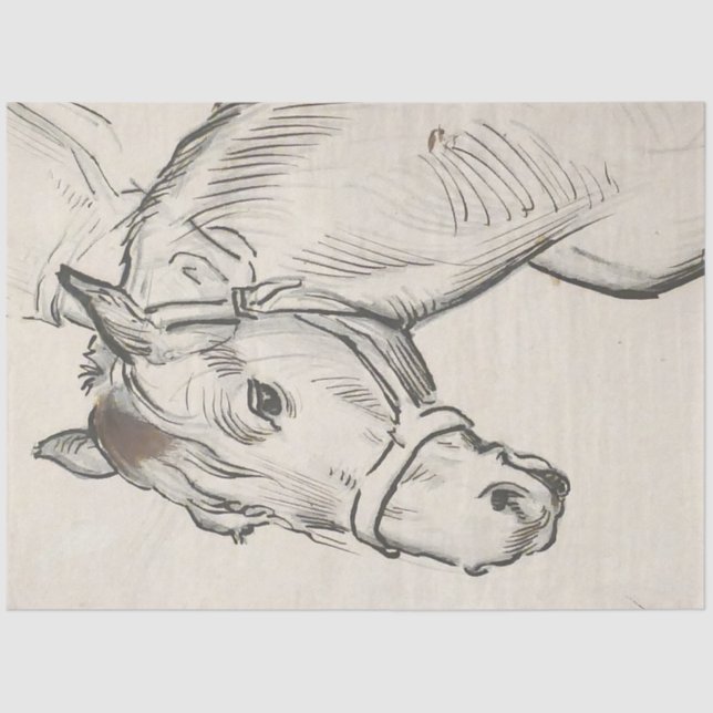 Papel De Seda Cabeza de caballo (por Alfred Dehodencq) (Anverso)