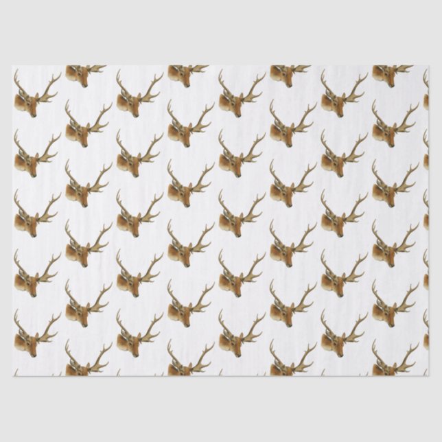 Papel De Seda Cabeza de ciervo con anillos medianos #1 (Anverso)