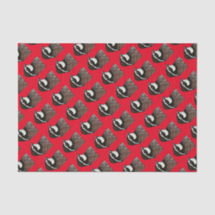 Papel De Seda Cabeza de cubeta blanco Bobwhite