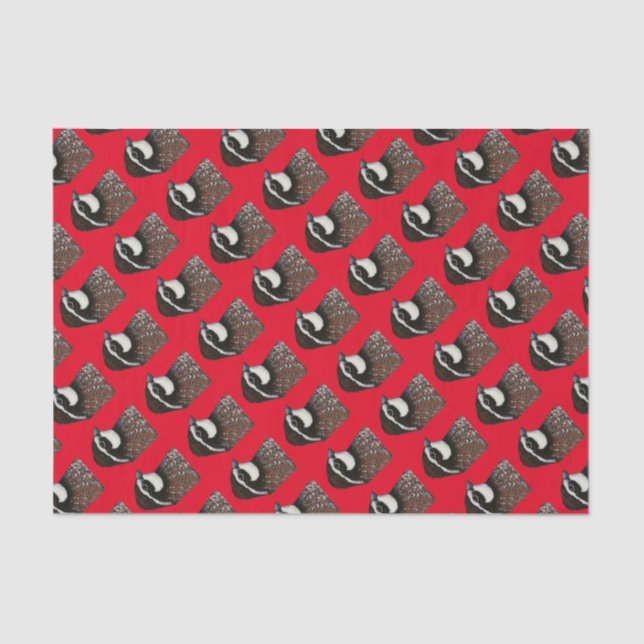 Papel De Seda Cabeza de cubeta blanco Bobwhite (Anverso)