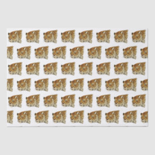 Papel De Seda Cabeza de Gato Leopardo Manchado Vintage