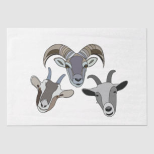 Papel De Seda Cabra Animal Divertida Cabra