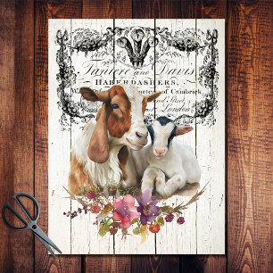 Papel De Seda Cabras Boer Florales de Granja