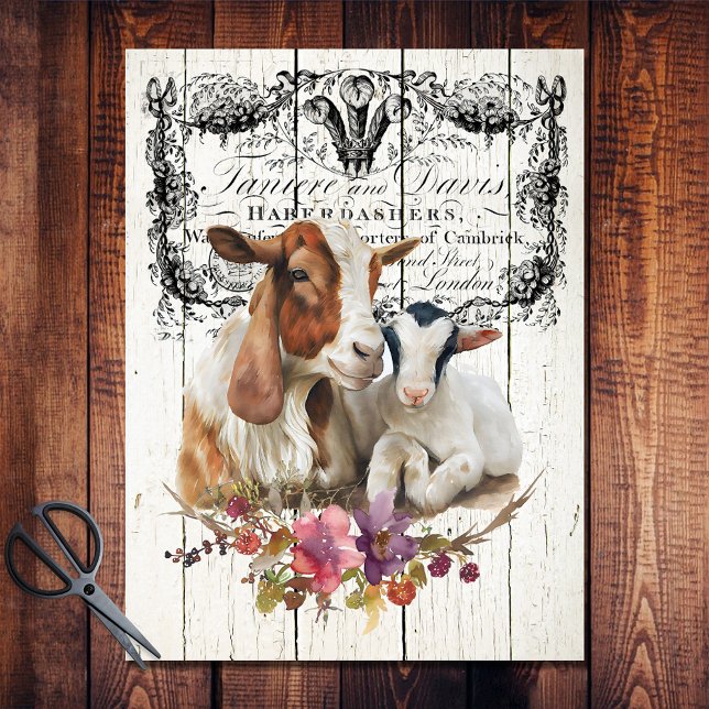 Papel De Seda Cabras Boer Florales de Granja (Subido por el creador)