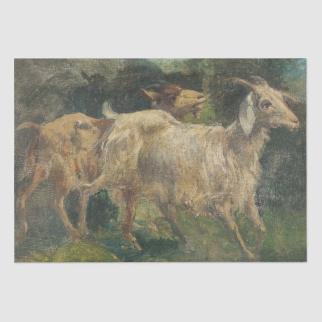 Papel De Seda Cabras (por Vincenzo Caprile) (Anverso)