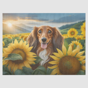 Papel De Seda Cachorro Ama Los Girasoles Dachshund Marrón De Pel